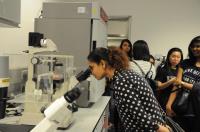 Visitors tour the core laboratories of the School